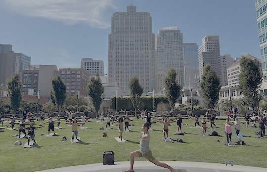 Rising to the Occasion